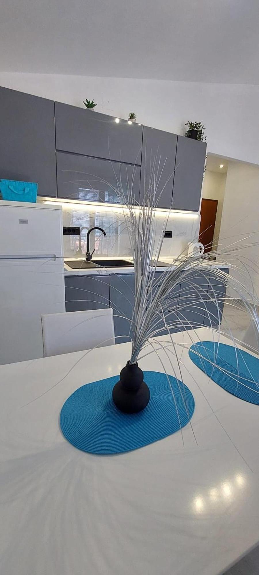 Apartment Antunovic *