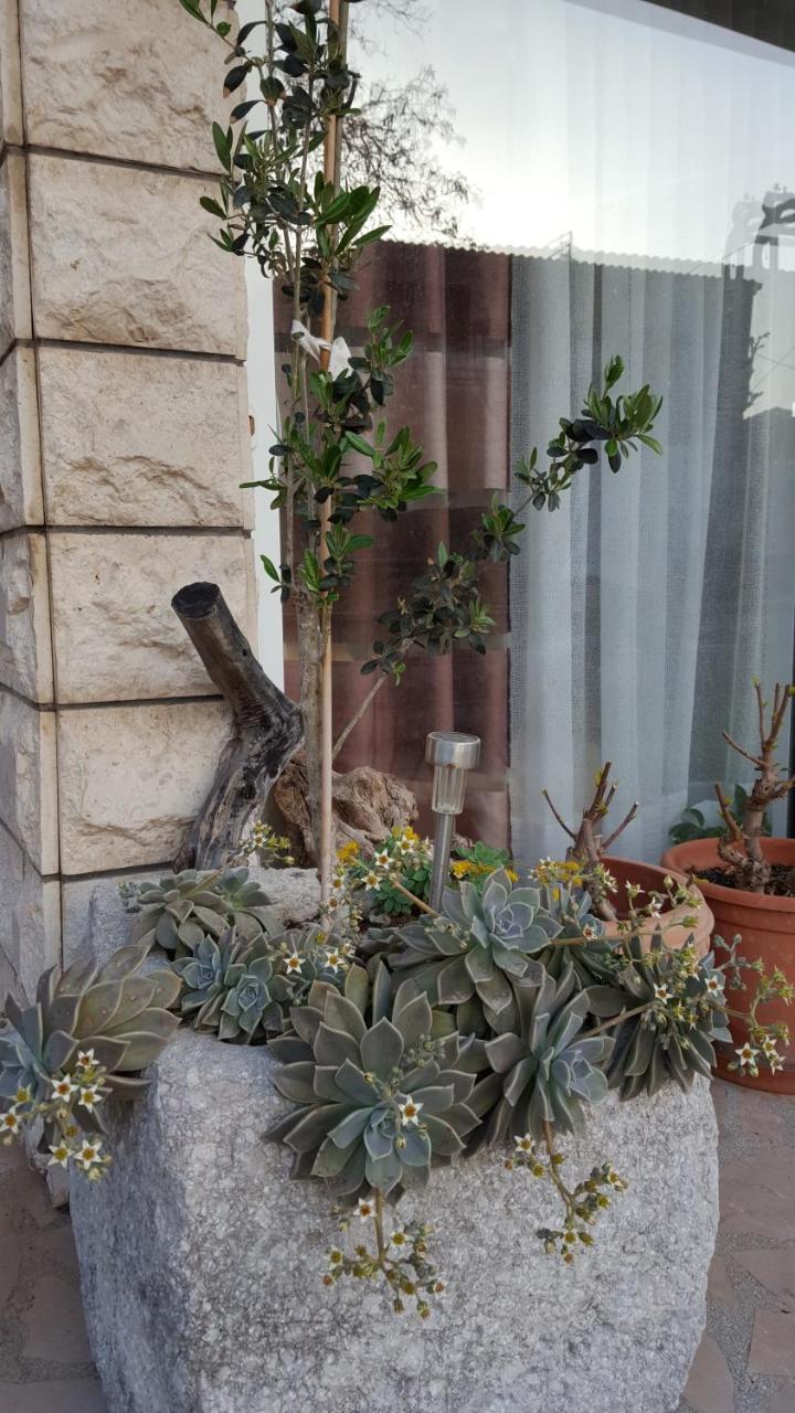 Antunovic Podgora