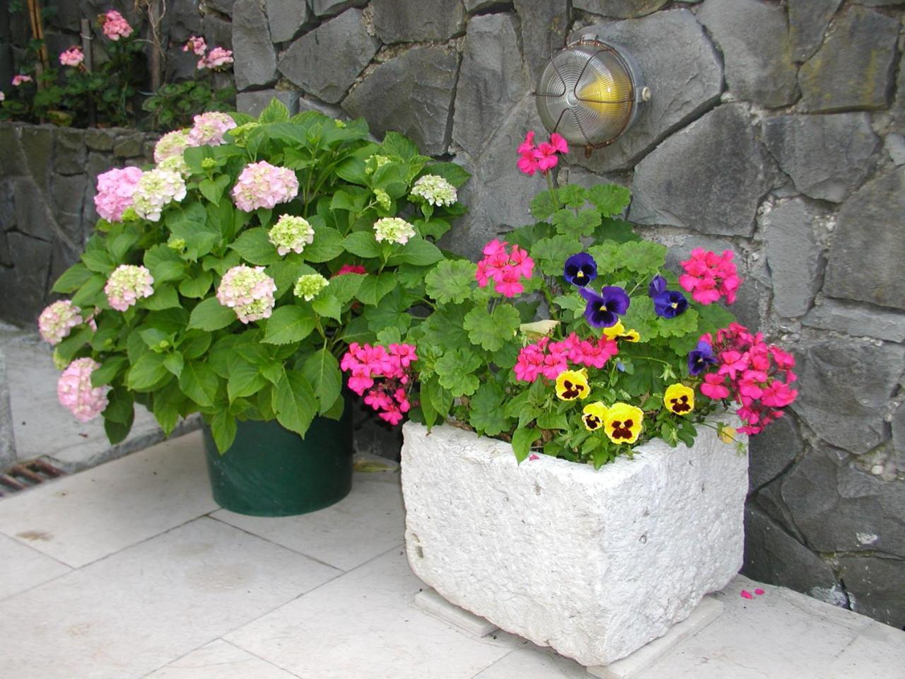 Antunovic Podgora